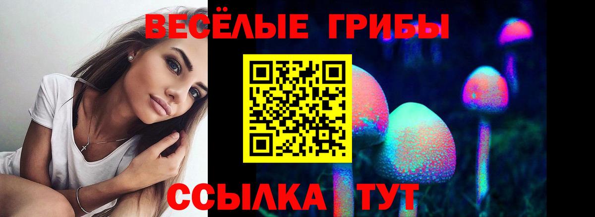 Галлюциногенные грибы Magic Shrooms  Псилоцибиновые грибы GOLDEN TEACHER  цены наркотик  Вход с VPN  Георгиевск 